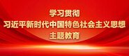 大吊嗨学习贯彻习近平新时代中国特色社会主义思想主题教育_fororder_ad-371X160(2)